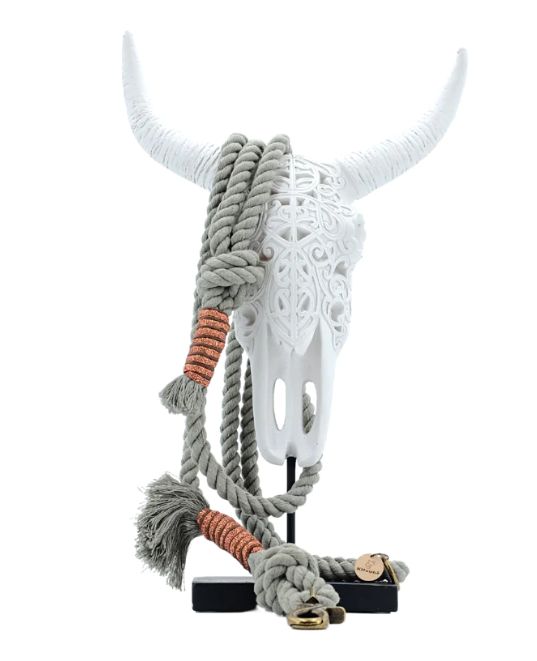 Kitsuné Dog- laisse corde